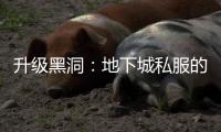 升级黑洞：地下城私服的挑战与乐趣