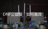 DNF公益服：如何高效升级及精选职业装备