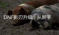 DNF影刃升级：从新手到高手的旅程
