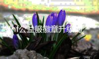dnf公益服徽章升级的五个技巧
