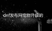 dnf发布网宠物升级的最佳方法与建议